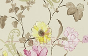 p505-01 Designers Guild Whitewell   