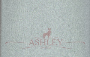 44750 Hohenberger Ashley   