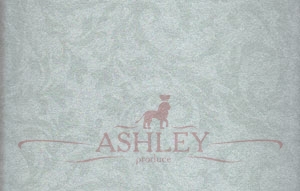 44754 Hohenberger Ashley   