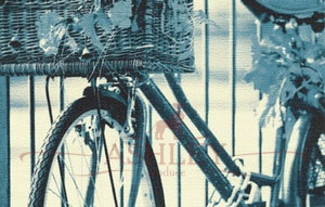 bici-16792-BLU Altagamma Lady   
