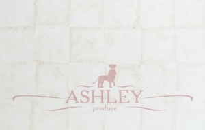 Ansell-Ivory-0691503 Stroheim Palettes   