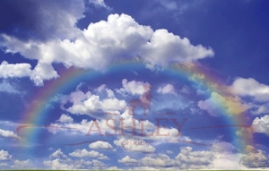 1188-250-372-Rainbow Rafael Rafael_2 Фотообои Германия